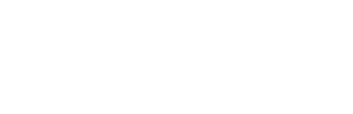 Singh Management XVI